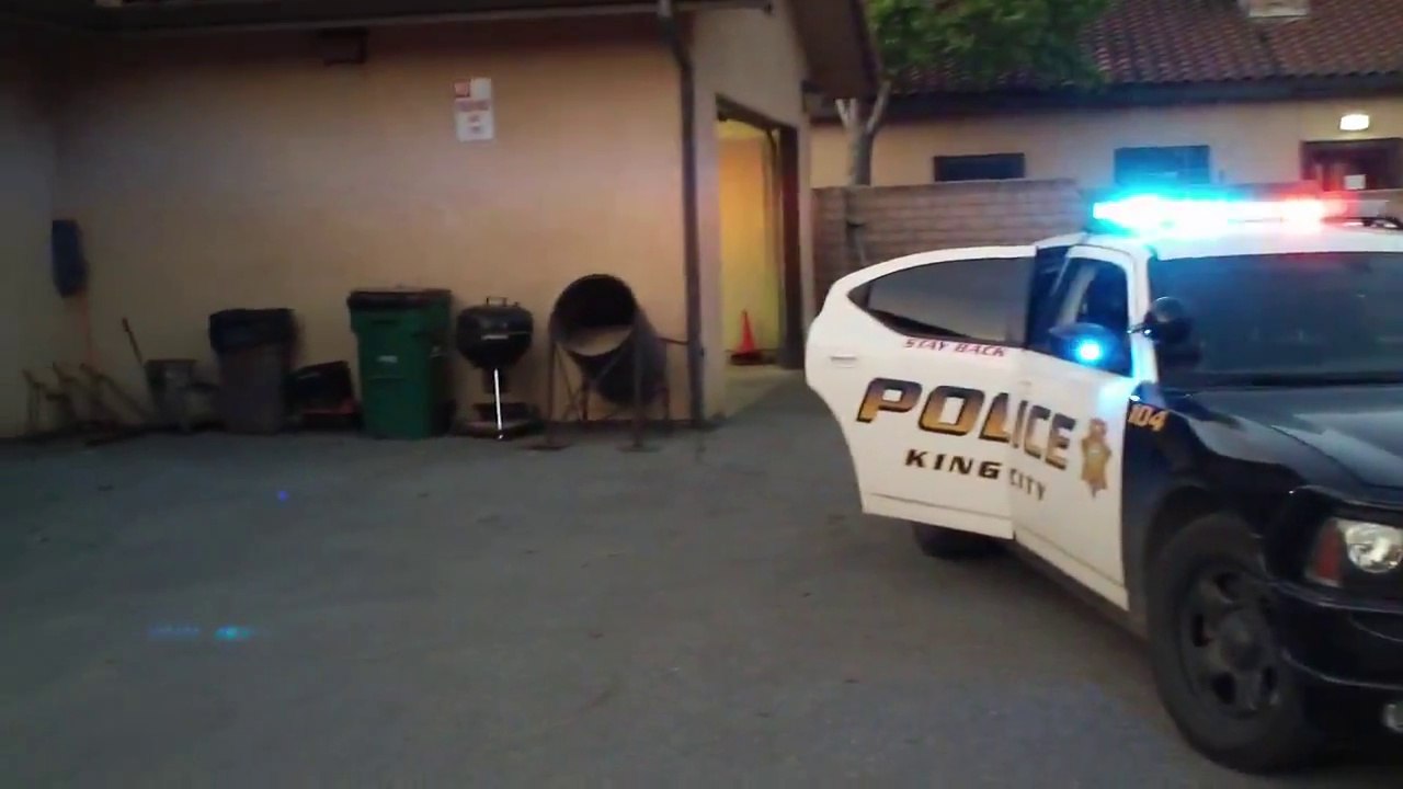 Un chiot policier à l'entrainement arrête un suspect