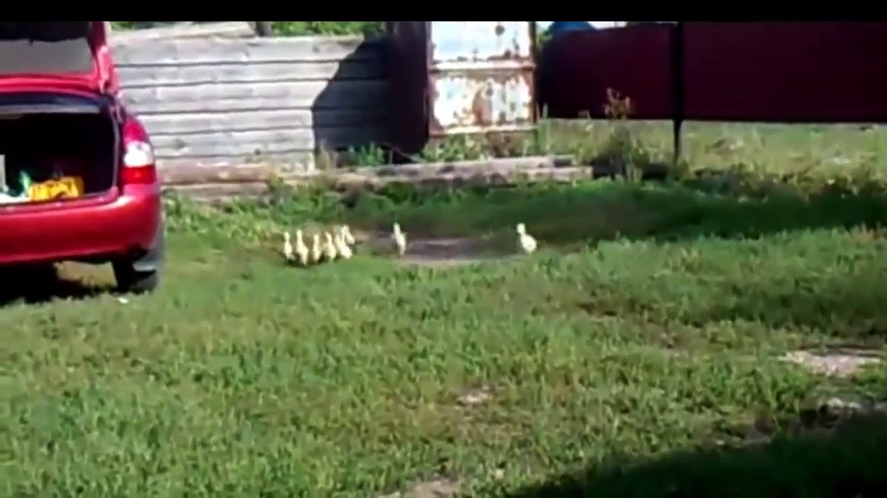 Rusları Seviyoruz Video Derlemesi - Ekim 2014 [HD]