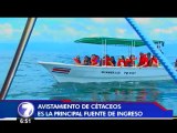Proyecto de vigilancia pretende cuidar a las ballenas y delfines que visitan Costa Rica