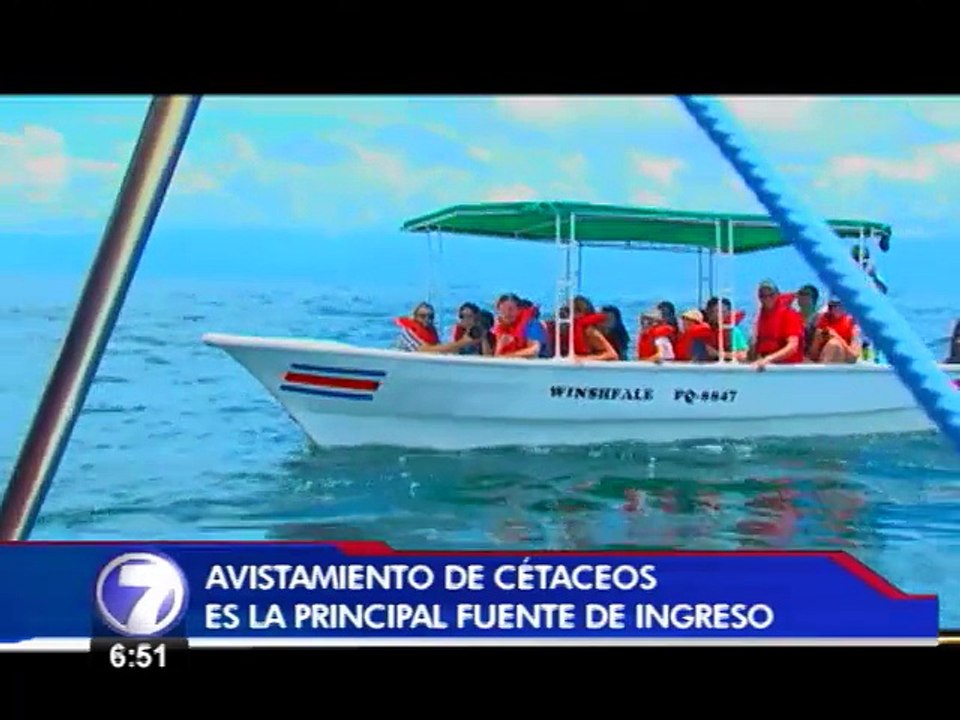 Proyecto de vigilancia pretende cuidar a las ba...