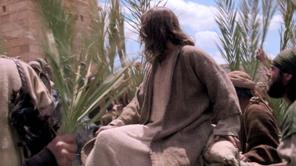 Tóm tắt Thánh Kinh - Tập 8: Sự phản bội