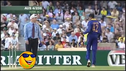 Funniest Cricket Catch Ever