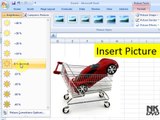 Lesson # 44 The Insert Picture Adjust (Microsoft Office Excel 2007 Tutorial)