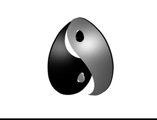 Ying Yang 3D