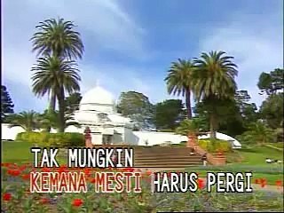 Poppy mercury - terlalu pagi