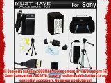 Must Have Accessory Kit For Sony HDR-PJ380 HDR-PJ380/B HDR-CX330 HDR-CX900 HDR-PJ810 HDR-PJ540