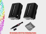 2-Pack NP-FM55 High-Capacity Replacement Batteries for Sony DCR-TRV16 DCR-TRV17 DCR-TRV18 DCR-TRV19