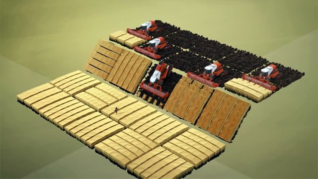 Toprağın Önemi ve Anlamı - Erozyon Nedir Animasyon Belgesel