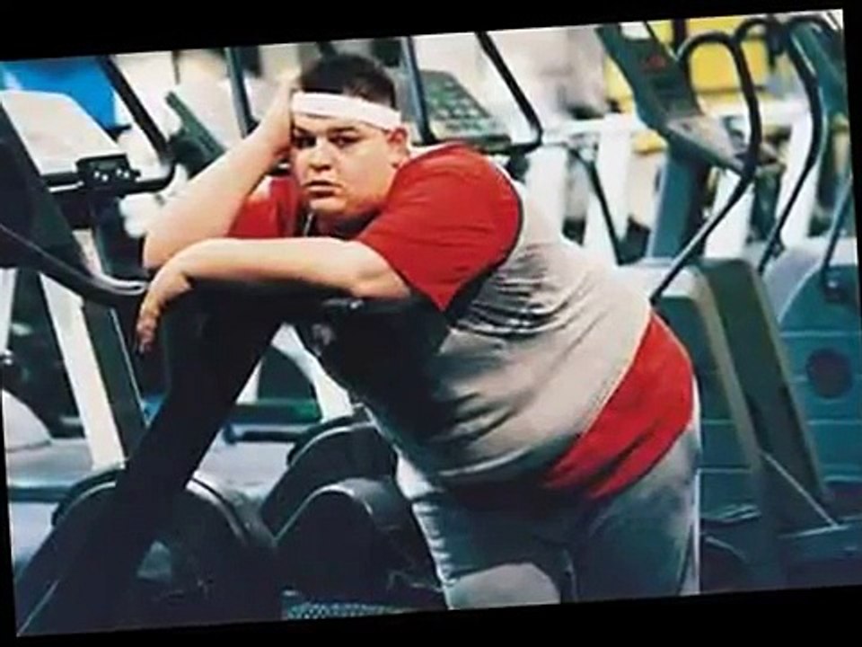 the ultimate 14 day rapid fat loss plan + shaun hadsall 14 day rapid fat loss pdf