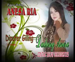 DIPUTER GILING dadang anesa @ lagu tarling