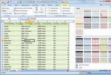 MS Excel 2007 Part 8 (Working with tables)