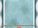 Lastolite LL LB7741 10 x 12 Feet Washable Muslin Background (Dakota)