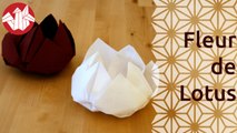 Origami - Fleur de lotus