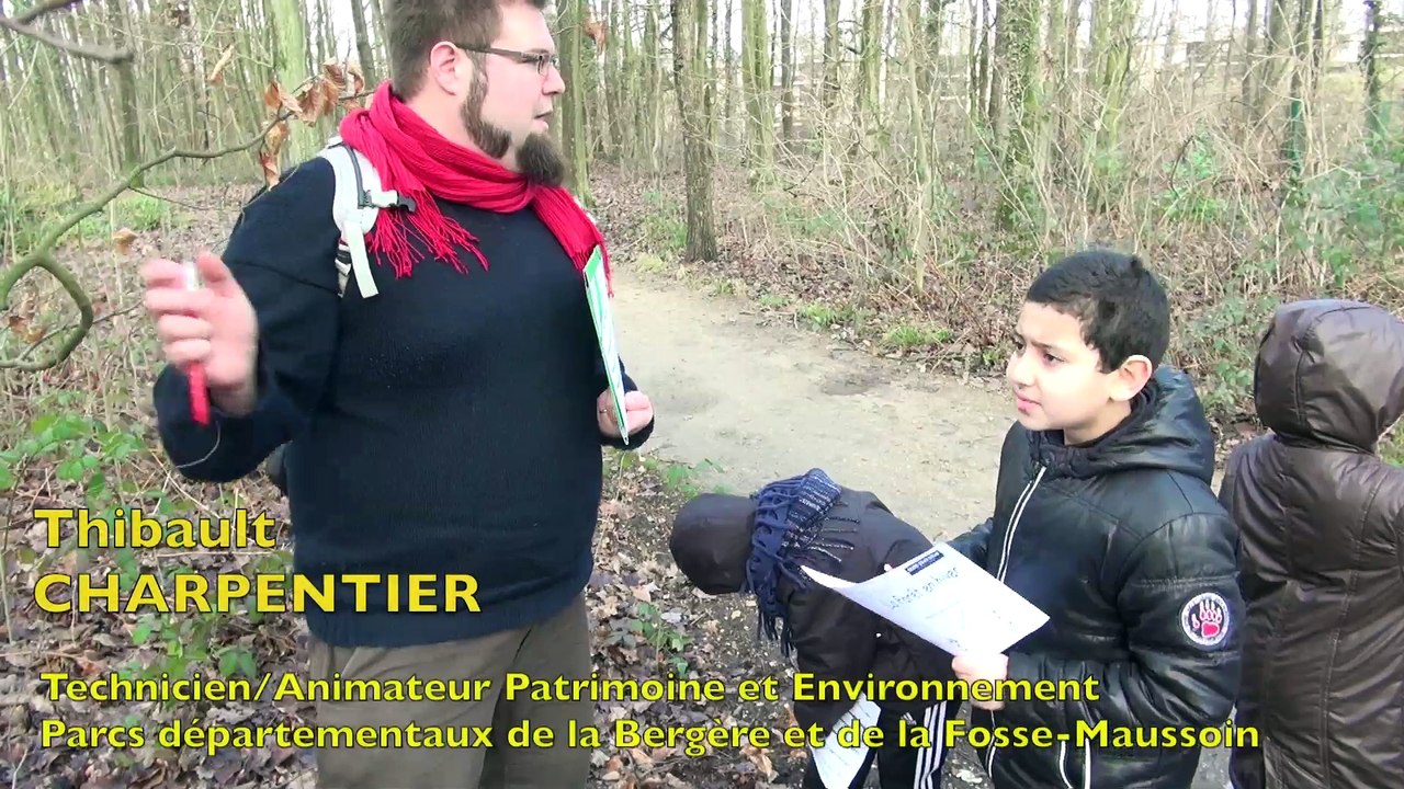 Des arbres en hiver - animation