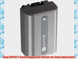Sony NPFP51 P Series Camcorder Battery for Sony Camcorders