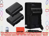 Pack Of 2 Replacement DMW-BLF19 Batteries And Battery Charger for Panasonic Lumix DMC-GH3 DMC-GH4