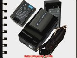 2 Battery  Charger for Sony Handycam DCR-HC21 NP-FP50   car plug