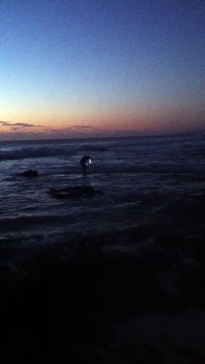 Tailor Fishing kalbarri part 2
