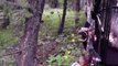 Awesome Whitetail Bowhunting Video! Wisconsin Buck goes down!