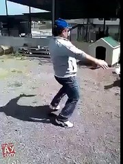 FUNY AMZING VIDEOS (7)