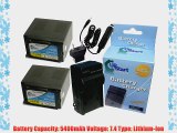 2x Pack - Panasonic CGR-D54 Digital Camcorder Battery and Charger Replacement with Car