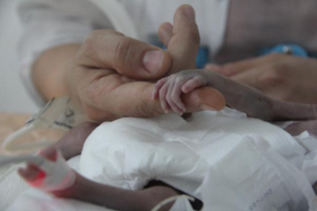 Parmak Bebek Hayata Tutundu