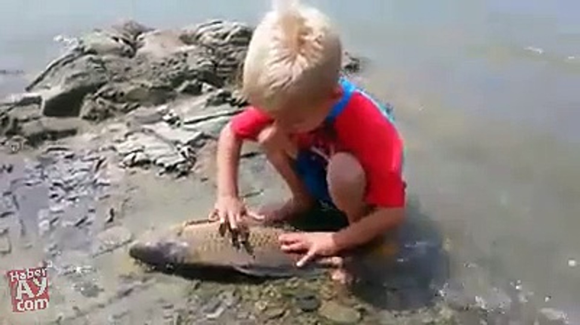⁣FUNY AMZING VIDEOS (30)