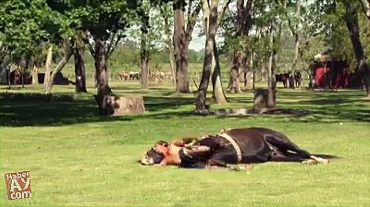 FUNY AMZING VIDEOS (42)