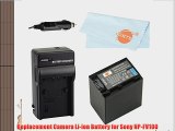 DSTE kit NP-FV100 Rechargeable Li-ion Battery   DC04 Charger for Sony DCR-SR15 SR21 SR68 SR88