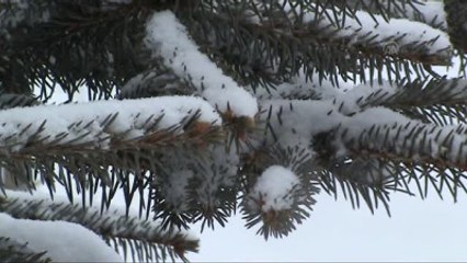 Doğuda Kar Yağışı