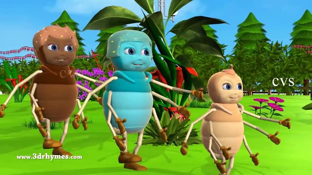 Incy Wincy Spider Nursery Rhyme - Itsy Bitsy Spider - 3D Animation Rhymes and Songs For Children