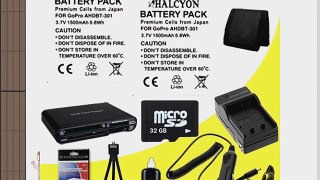 Two Halcyon 1500 mAH Lithium Ion Replacement Battery and Charger Kit   32GB microSD Memory