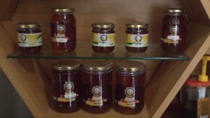 Yasaklanan "Reklam Balı" Üreticileri Sevindirdi