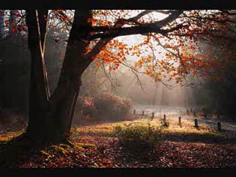 47. Zubaan Ki Hifazat/islahi bayanat by hafiz muhammad ibrahim naqshbandi khalifa e majaz peer hafiz muhammad zulfiqar db