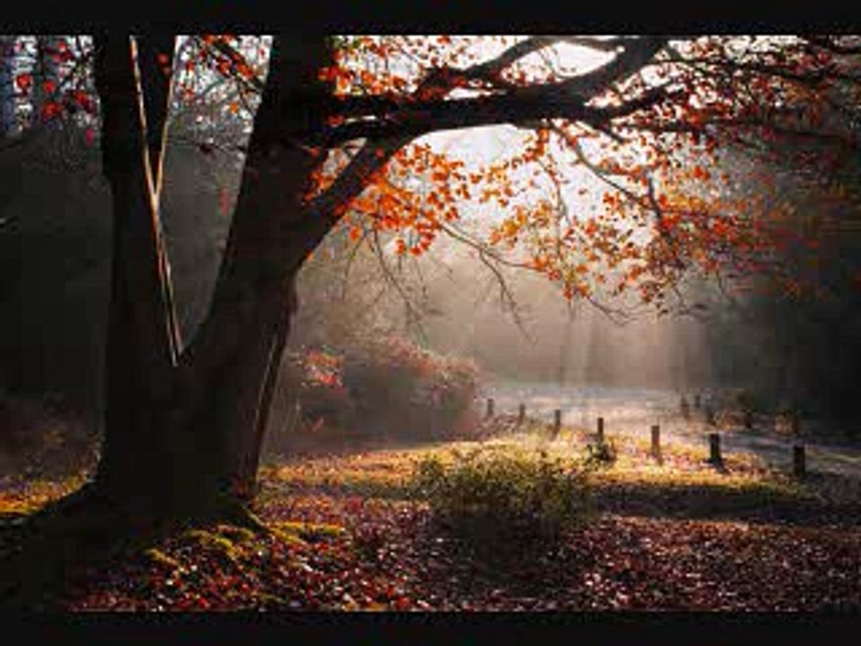 47. Zubaan Ki Hifazat/islahi bayanat by hafiz muhammad ibrahim naqshbandi khalifa e majaz peer hafiz muhammad zulfiqar db