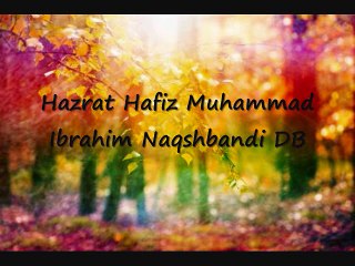 51. Hazrat Muhammad S.A.W Ki Taraf Se 5 Baton Ki Naseehat/islahi bayanat by hafiz muhammad ibrahim naqshbandi khalifa e majaz peer hafiz muhammad zulfiqar db