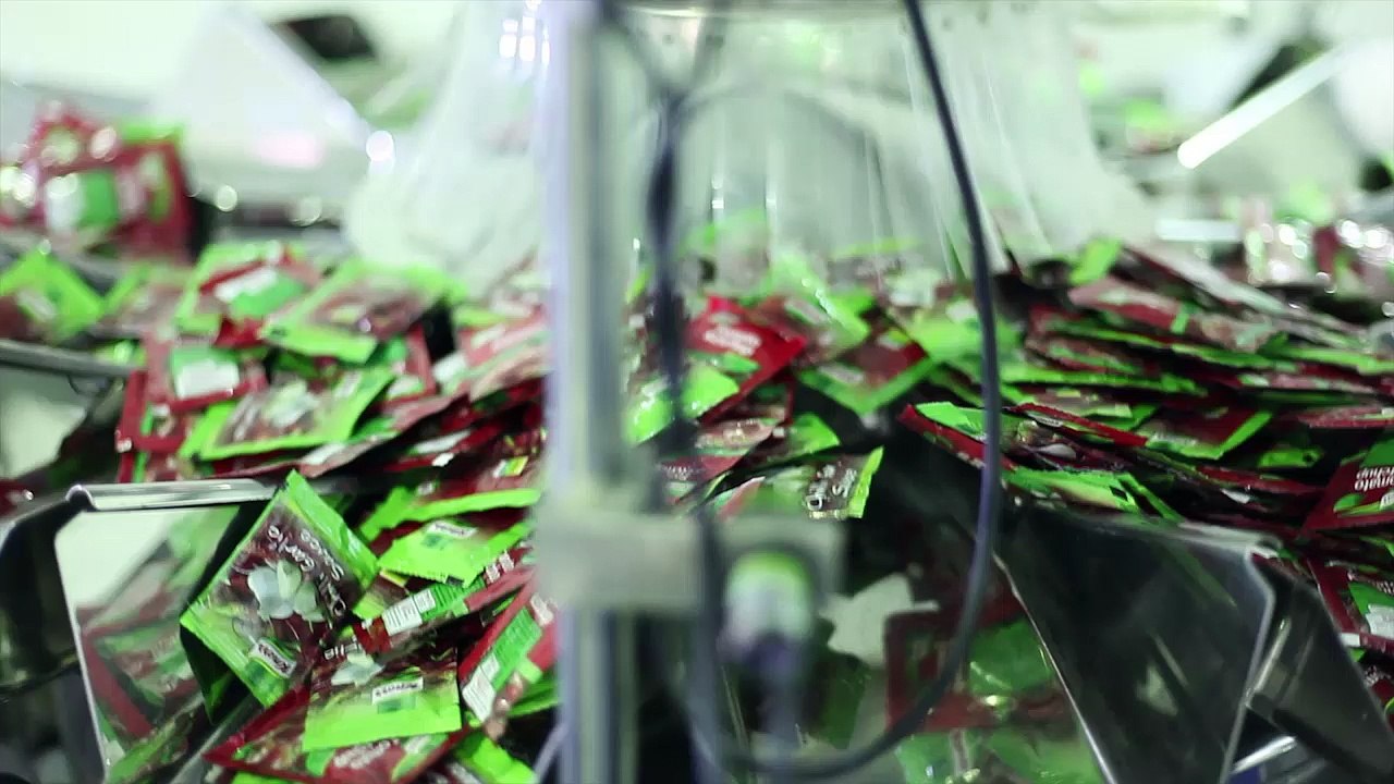 SAMA MHW Pillow Bag Machine | Sama Engineering