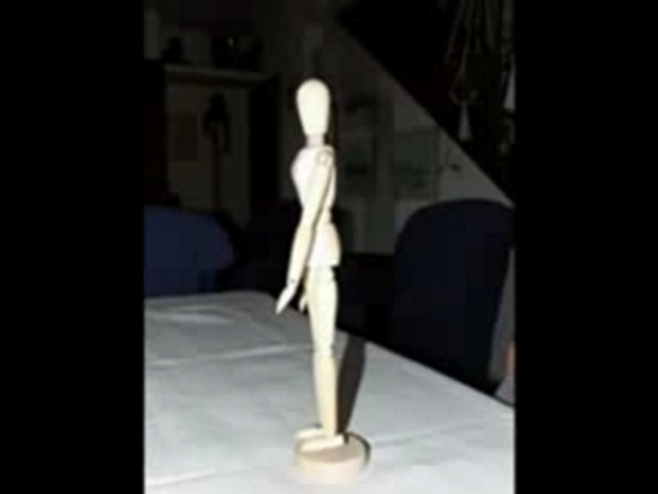 Animation bonhomme bois