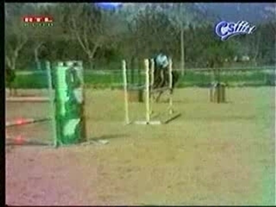 LA MORT TRAGIQUE DU JEUNE CHEVAL...