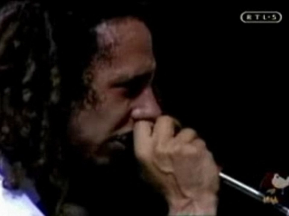 Rage Against The Machine - Killing in th