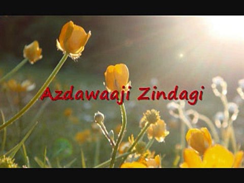 60. Azdawaaji Zindagi/islahi bayanat by hafiz muhammad ibrahim naqshbandi khalifa e majaz peer hafiz muhammad zulfiqar db