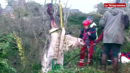 Trégastel (22). Une ponette chute dans une faille rocheuse