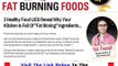 The Truth About Fat Burning Foods Real Truth About Fat Burning Foods Bonus + Discount