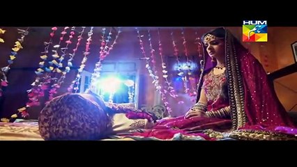 Digest Writer OST Drama on HumTV - Full Song