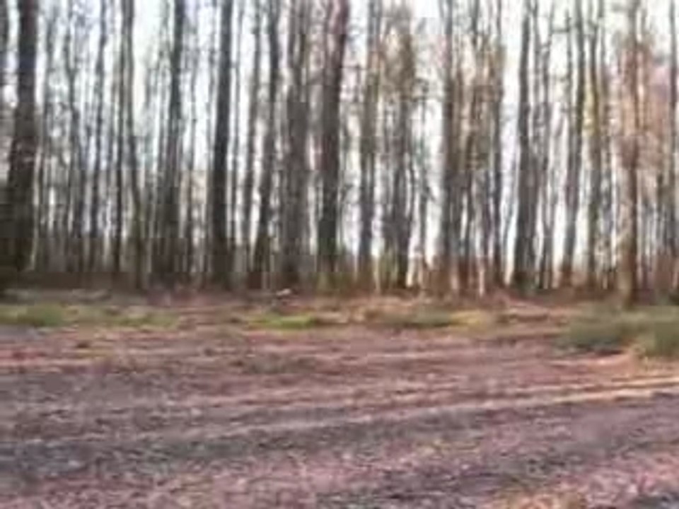 CHASSE ET PECHE