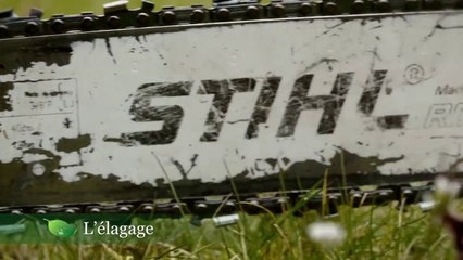 Passion Jardin - L'élagage - vidéo salon