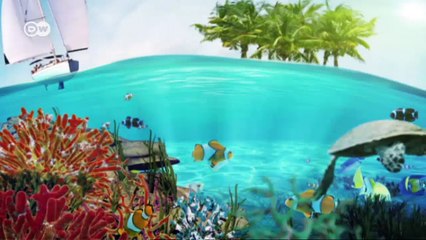 México : el jardín de las especies | Global 3000