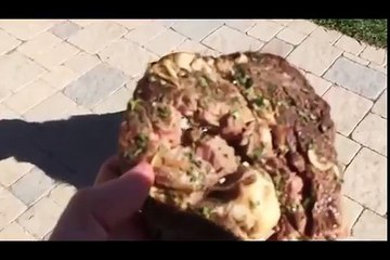 Fritz Learns to Catch Compilation #1 "HD"