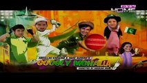 Googly Mohalla Episode 31 Full on PTV Home
