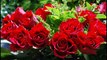 Просто розы и красивая музыка./ Simply roses and beautiful music.